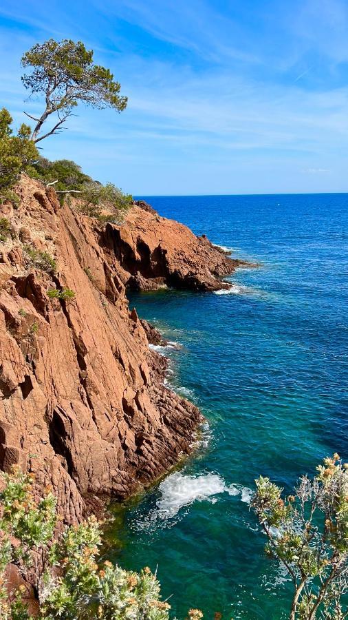 Les Cactus Frejus Plage Bagian luar foto
