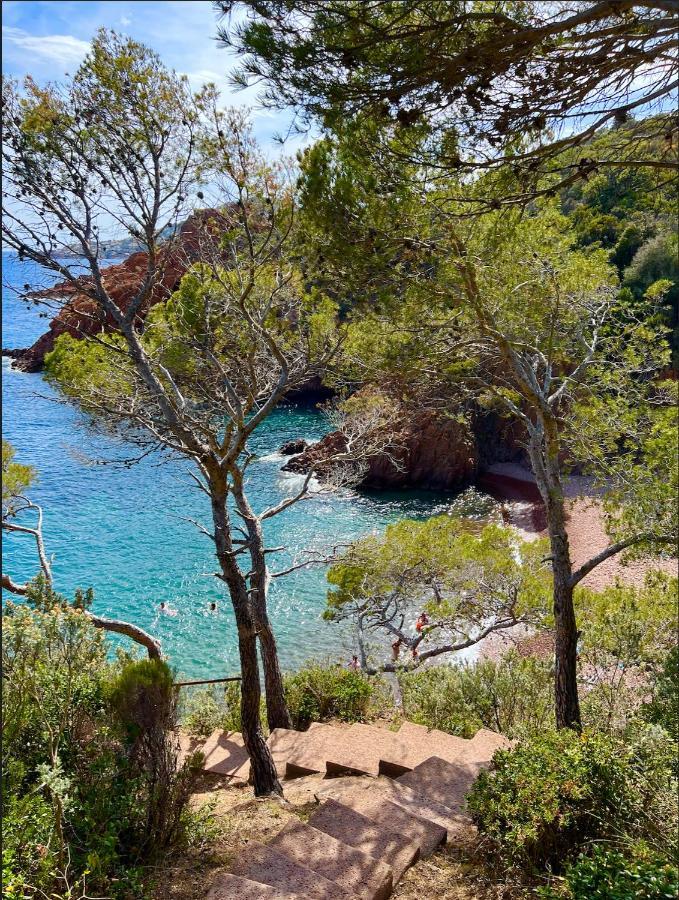 Les Cactus Frejus Plage Bagian luar foto