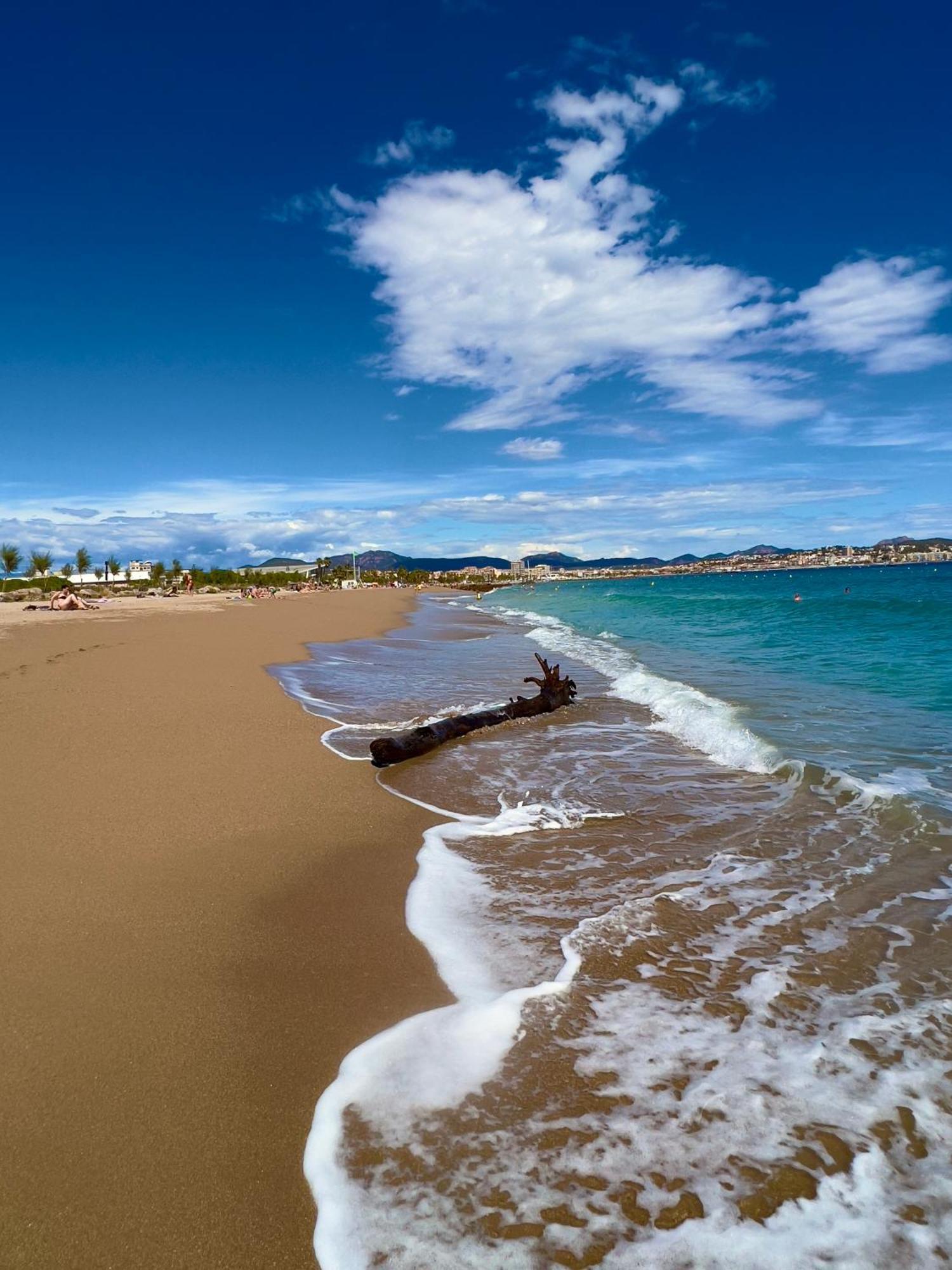 Les Cactus Frejus Plage Bagian luar foto