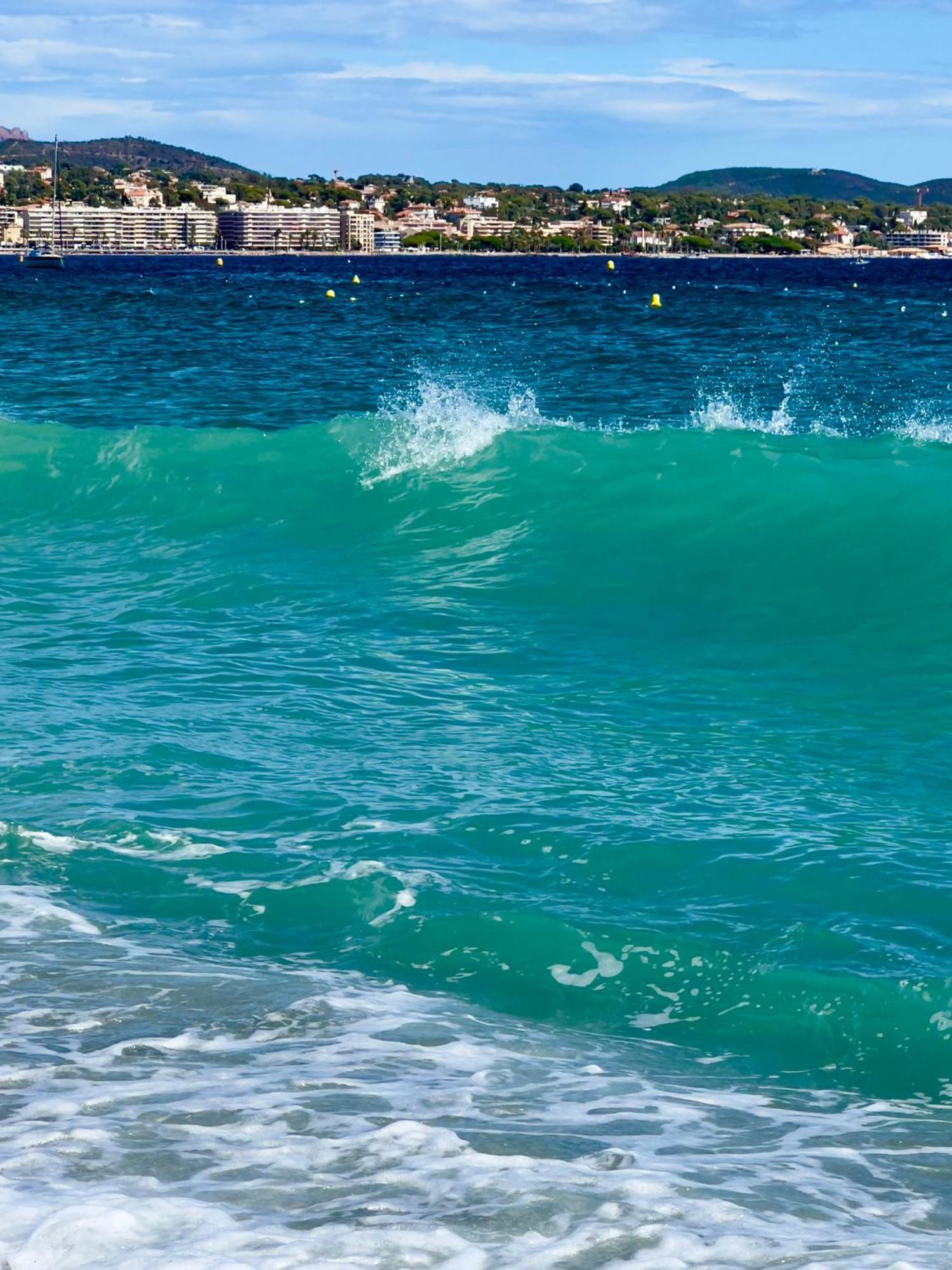 Les Cactus Frejus Plage Bagian luar foto